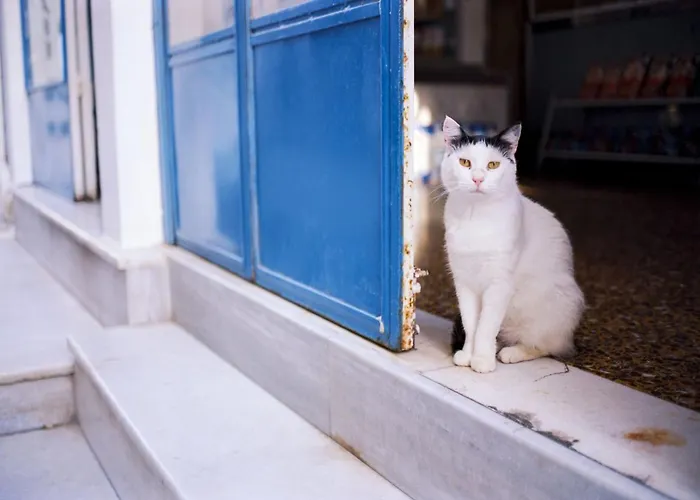 Amazing Santorini Grand With Sea View And Hot Вилла